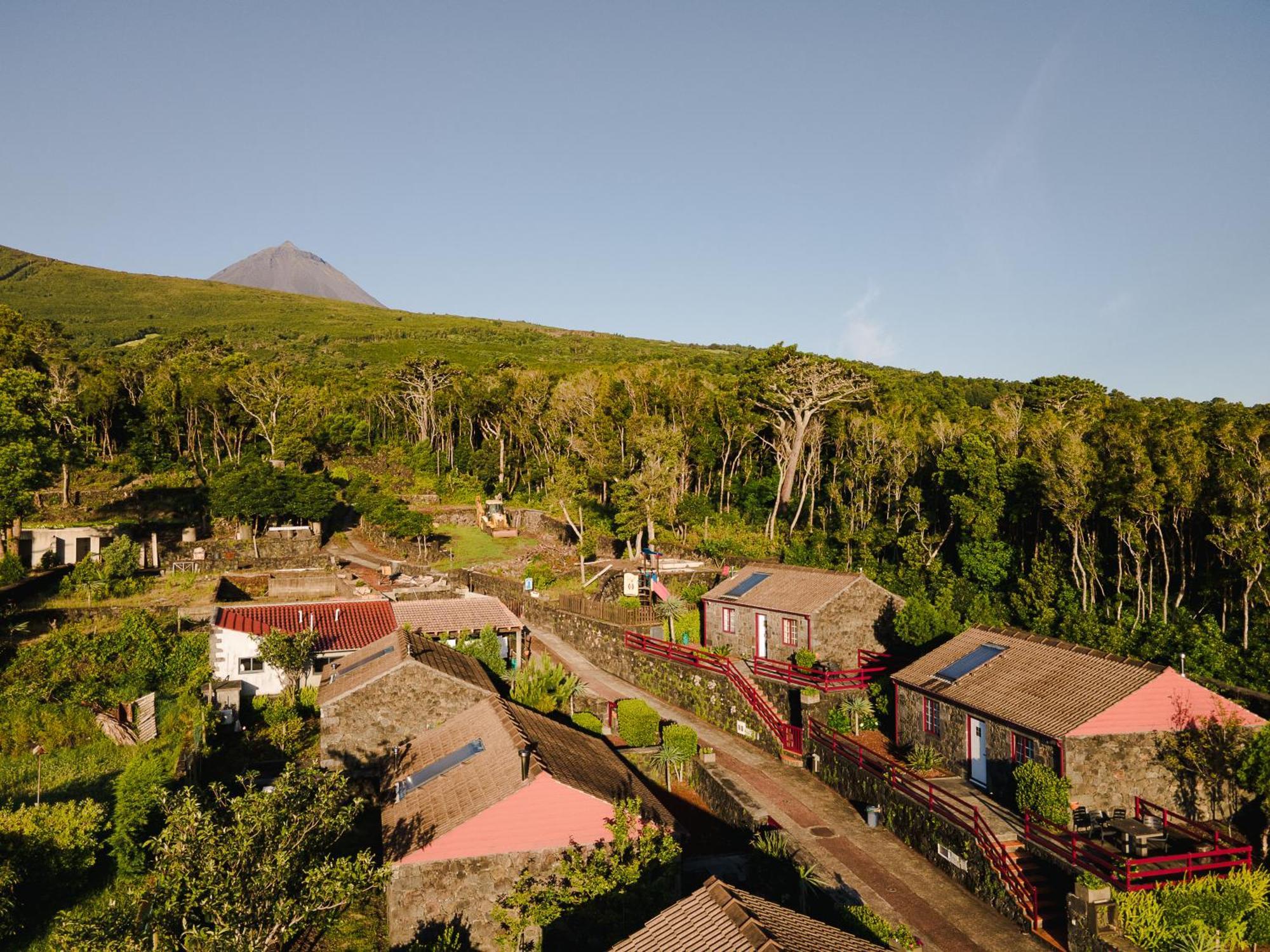 Aldeia Das Adegas Сан-Роки-ду-Пику Экстерьер фото