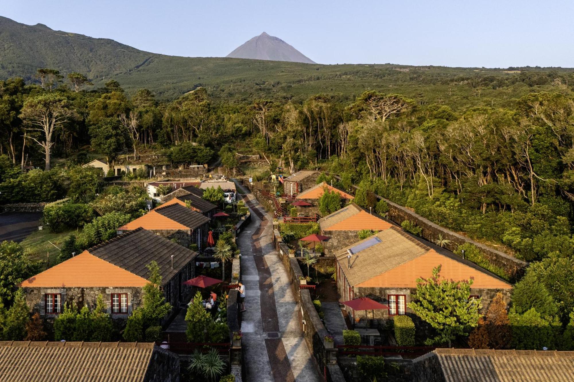 Aldeia Das Adegas Сан-Роки-ду-Пику Экстерьер фото